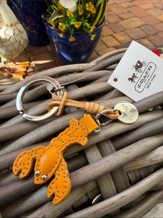 Coach Accessories - Coach Orange Leather Lobster Keychain Charm